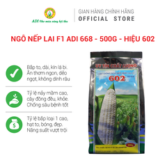 Hạt giống ngô nếp lai F1 ADI 668 - Hiệu 602