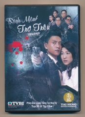 DVD Film TVB - Định Mệnh Trớ Trêu (5 Disc)