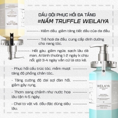 Bộ Dầu Gội Dầu Xả Phục Hồi Đa Tầng Nấm Truffle Weilaiya 450ml + 450ml