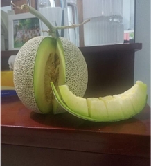 Hạt Giống Dưa Lưới Ruột Xanh F1