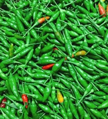 Hạt Giống Ớt Xiêm Xanh Thái Lan