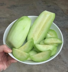 Hạt Giống Dưa Chuột Mèo