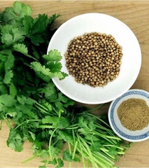 Hạt Giống Rau Mùi Cồn Tía ( Mùi Ta ) - Gói 20gram