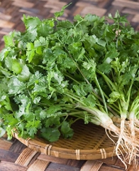 Hạt Giống Rau Mùi Cồn Tía ( Mùi Ta ) - Gói 20gram