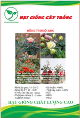 Hạt Giống Hoa Hồng Tỉ Muội Mix Màu