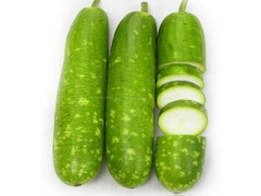 Hạt Giống Bầu Sao Trái Ngắn F1