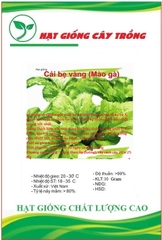Hạt giống rau cải mào gà cao sản