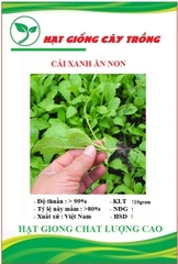 Hạt giống rau cải ăn non baby