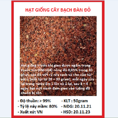 Hạt Giống Cây Bạch Đàn Đỏ