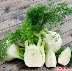 Hạt Giống Củ Thì Là ( Củ Hồi Mỹ  ) - Gói 50 hạt