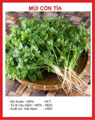 Hạt Giống Rau Mùi Cồn Tía ( Mùi Ta ) - Gói 20gram