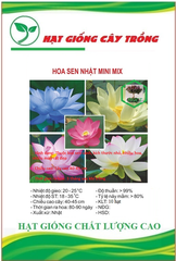 Hạt giống hoa sen mini nhật mix màu