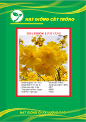 Hạt Giống Cây Hoa Phong Linh Vàng