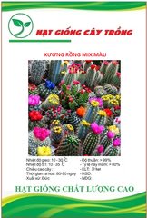 Hạt giống hoa xương rồng nhiều màu