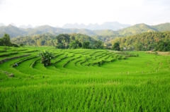 Tour Hà Giang City Tour | 1 Ngày