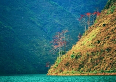 Tour Ghép Hà Giang Cuối Tuần | 2 Ngày 3 Đêm