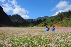 Tour Ghép Hà Giang Cuối Tuần | 2 Ngày 3 Đêm