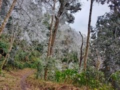 Tour Hà Giang City Tour | 2 ngày 1 đêm