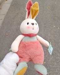 Thỏ sắc màu Musa Bunny