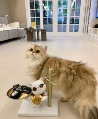 Mèo Golden Cat decor