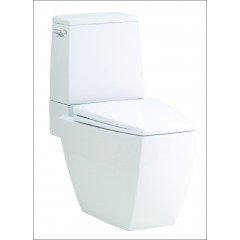 Bồn cầu hai khối Cotto C13507