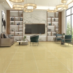 Gạch lát nền Đồng Tâm 8080DB100-NANO