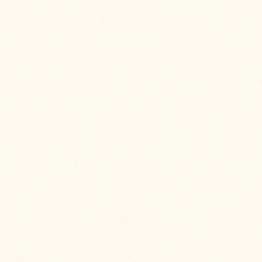 Gạch lát nền đồng tâm 1000x1000 100DB038-NANO chính hãng