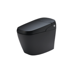 Bàn cầu điện tử Inax AC-G216VN/BKG