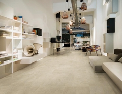 Gạch cao cấp có chức năng diệt khuẩn FLORINA - FL126M8 kích thước 60X120 cm