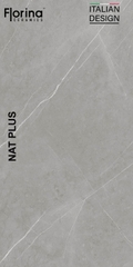 Gạch cao cấp có chức năng diệt khuẩn FLORINA - FL126MS4 kích thước 60X120 cm