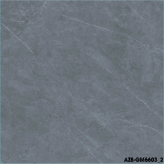 Gạch lát nền 600x600 Arizona AZ8-GM6603