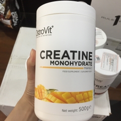 Ostrovit Creatine (500g)