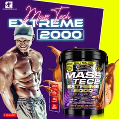 MASS TECH EXTREME 2000 (22lbs)