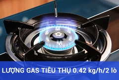 Bếp ga dương đôi Sakura SA-695SG