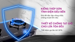 Bếp gas dương Mutosi MG 66M