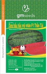 Dưa hấu hắc mỹ nhân F1 Thần Tài