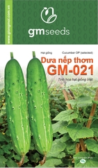 Dưa chuột nếp thơm GM-021