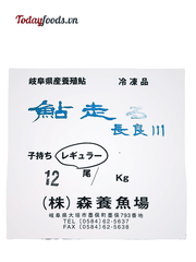 Cá Đắng Ayu Không Trứng (12 Con) 1KG