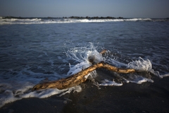 Voigtlander ULTRON Vintage Line 28mm F2 Aspherical VM II