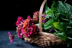 Tamron 70-300mm F/4.5-6.3 Di III RXD Nikon Z / Sony E - A047