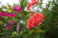 Tamron 24mm F/2.8 Di III OSD Sony FE - F051