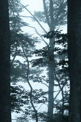 Tamron 150-500mm F/5-6.7 Di III VC VXD Sony E / Fuji X / Nikon Z - A057