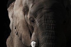 Tamron 18-300mm F/3.5-6.3 Di III-A VC VXD Sony E / Canon RF / Nikon Z / Fuji X - B061