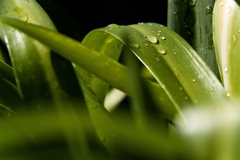 Tamron 18-300mm F/3.5-6.3 Di III-A VC VXD Sony E / Canon RF / Nikon Z / Fuji X - B061