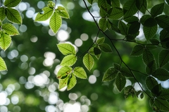 Tamron 150-500mm F/5-6.7 Di III VC VXD Sony E / Fuji X / Nikon Z - A057