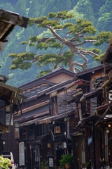 Tamron 18-300mm F/3.5-6.3 Di III-A VC VXD Sony E / Canon RF / Nikon Z / Fuji X - B061