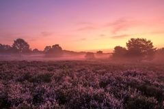 Tamron SP 15-30mm F/2.8 Di VC USD G2 Nikon F - A041