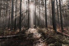 Tamron 11-20mm F/2.8 Di III-A RXD Sony E / Canon RF / Fujifilm X- B060