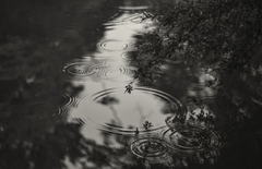 Voigtlander ULTRON 75mm F1.9 VM SC/MC