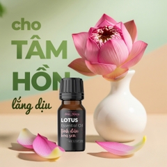 Tinh dầu hoa sen 10ml
